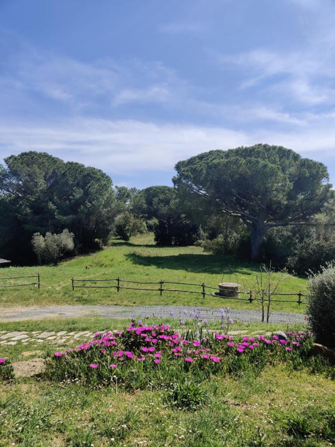 Agriturismo Le Pellicce Villa Riparbella Exterior photo