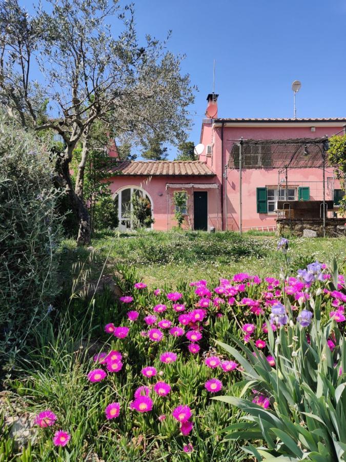 Agriturismo Le Pellicce Villa Riparbella Exterior photo