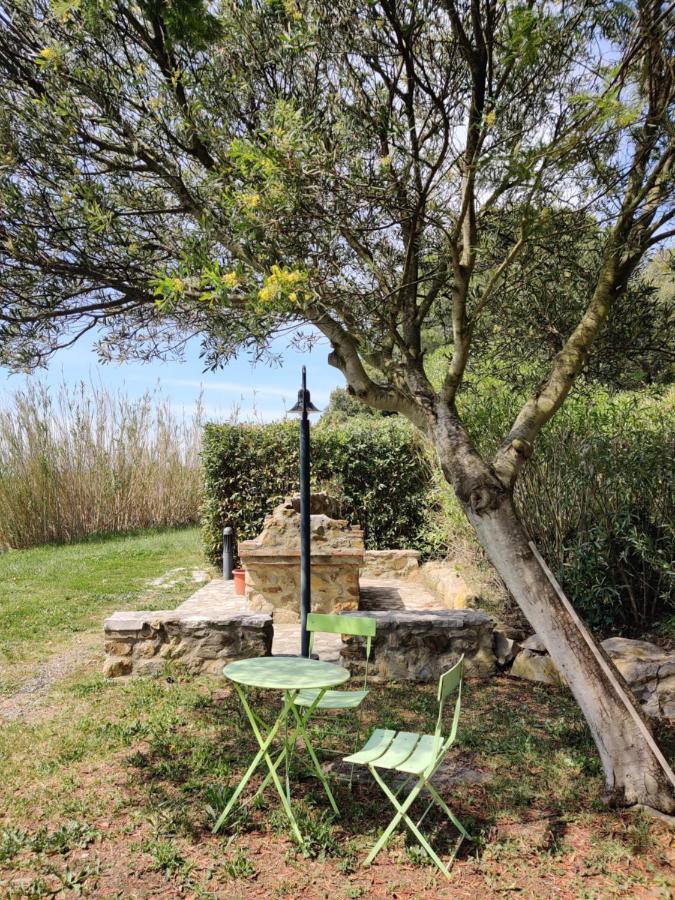 Agriturismo Le Pellicce Villa Riparbella Exterior photo